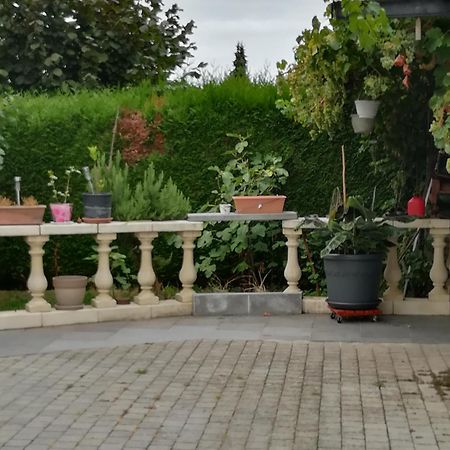 卡萨帝利昂住宿加早餐旅馆 Trivieres 外观 照片